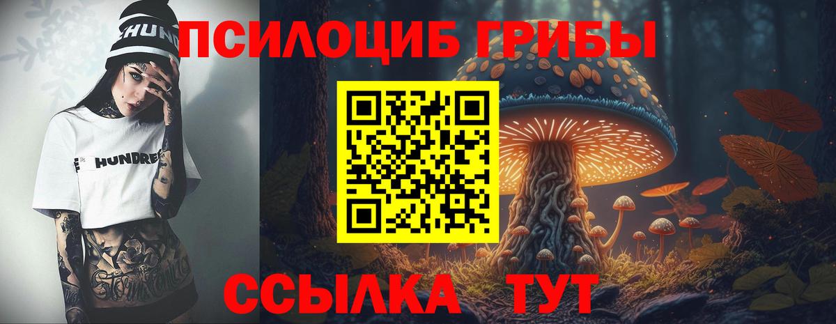 Псилоцибиновые грибы GOLDEN TEACHER  Псилоцибиновые грибы мицелий  Вход с VPN  Реж 