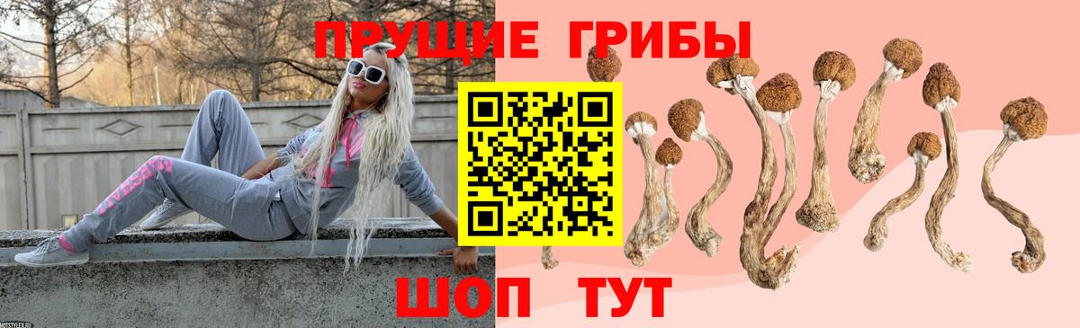 Псилоцибиновые грибы MAGIC MUSHROOMS Реж